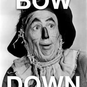 Meet your Posher, Cody